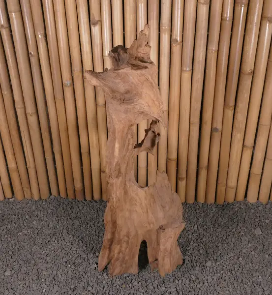 Product image 2 of the product “Root made of teak wood about 110cm height ”